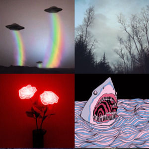 Meet your Posher, Brooklyn